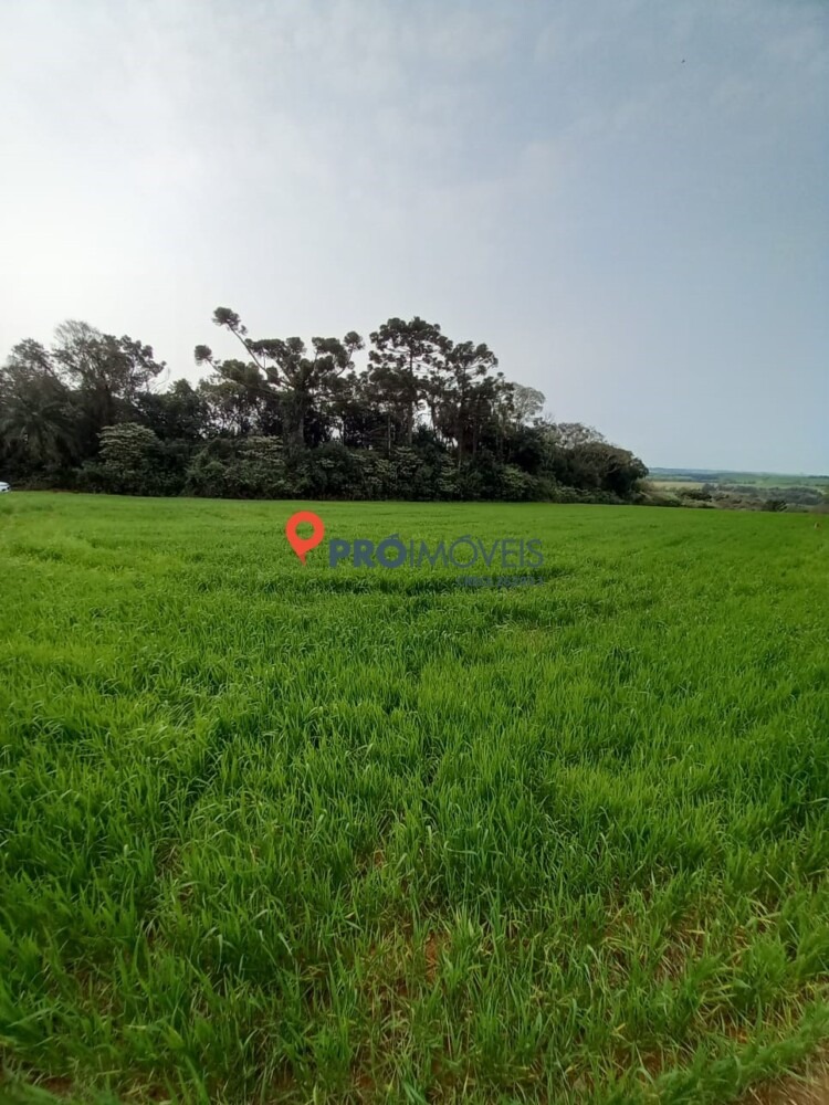 ÁREA DE TERRAS COM 10 HECTARES